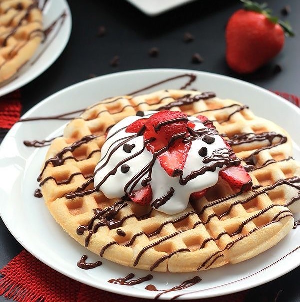 food-dish